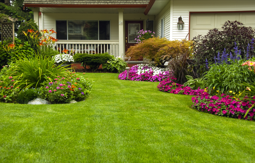 landscaping tips, landscaping ideas, best landscapers, local landscapers, landscaping by me, landscaping near me, local landscaping, Yard of the Month