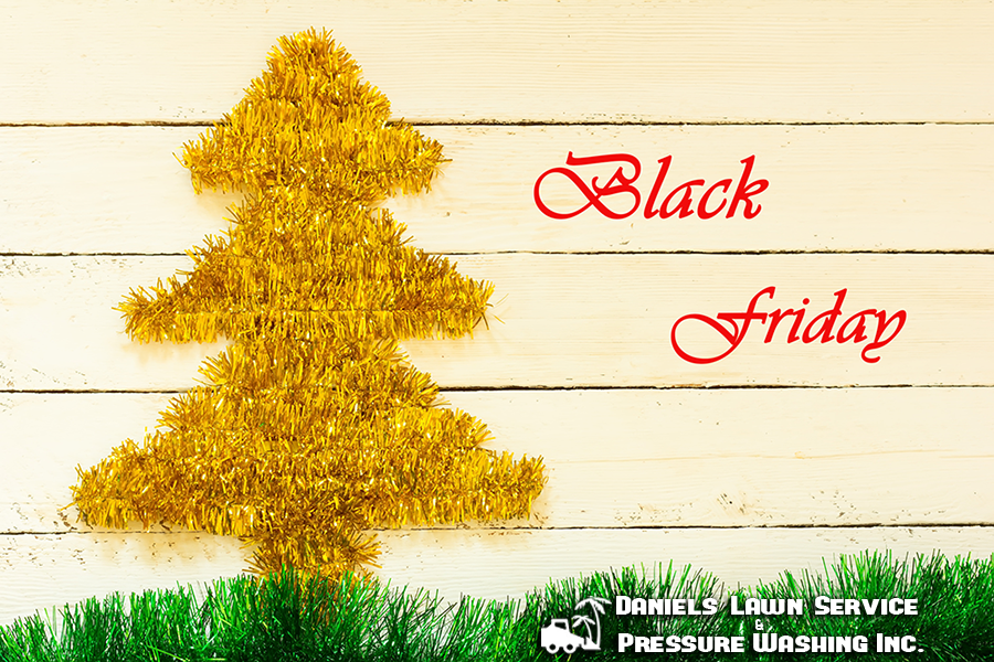 Black Friday Sales, Local Black Friday Sales, Black Friday sales for the yard, Orlando Landscaping, Orlando Lawn Care