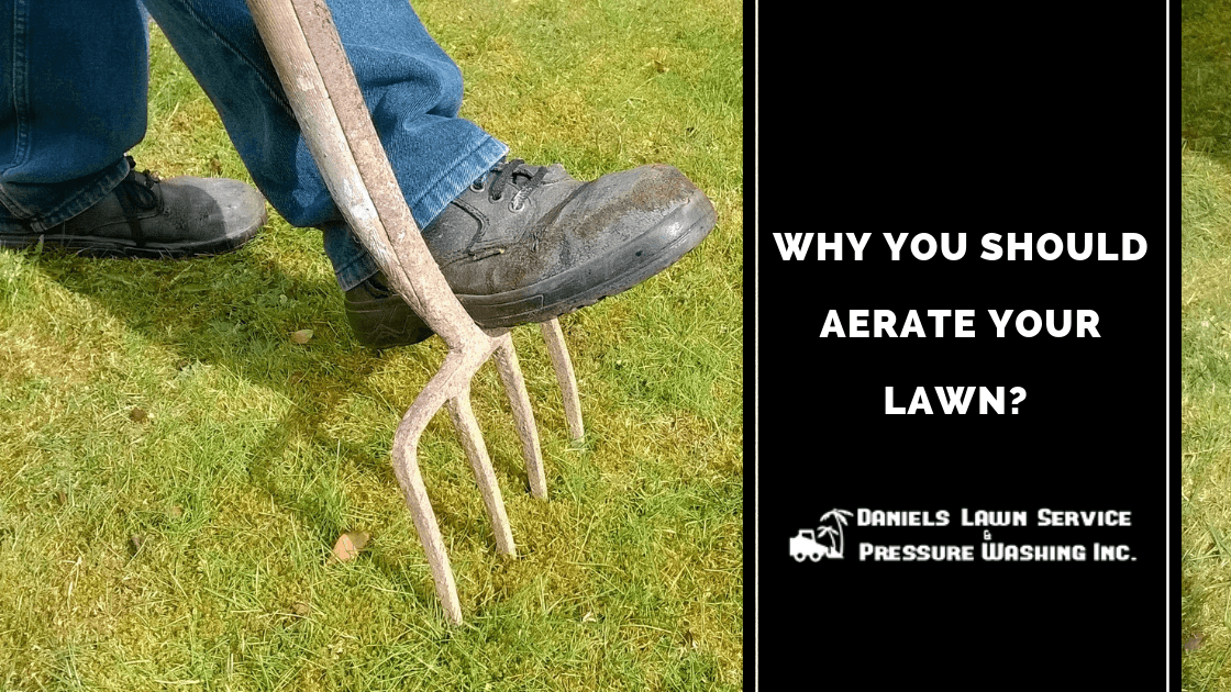 When Should You Aerate Your Lawn