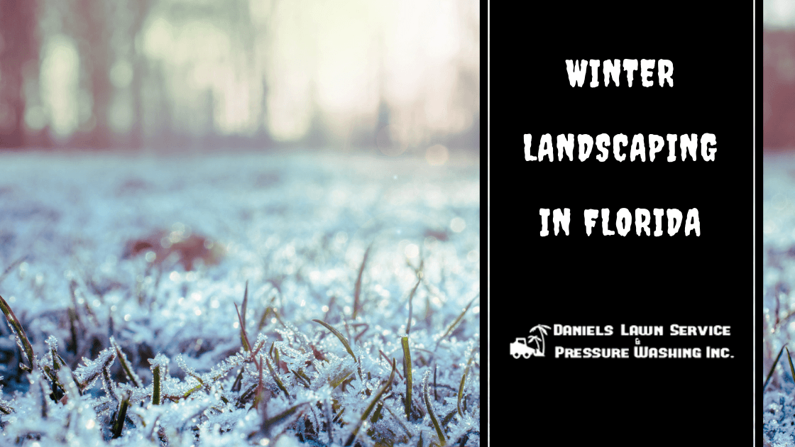 Winter Landscaping Tips for Florida