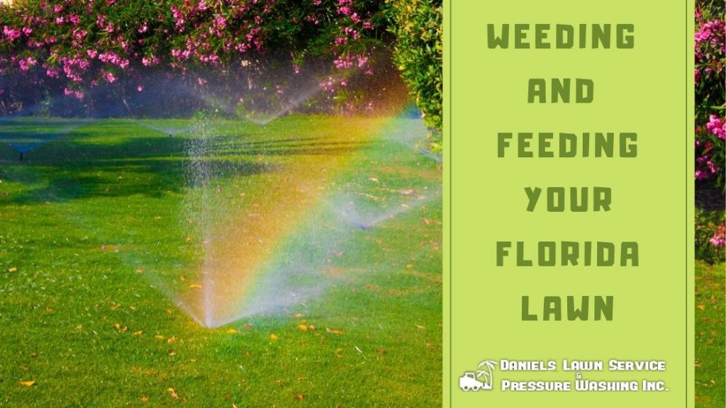 A Florida lawn is watered