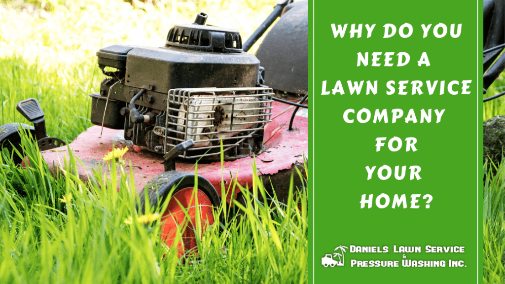 An old lawn mover trapped in tall grass. Why do you need a lawn service company?