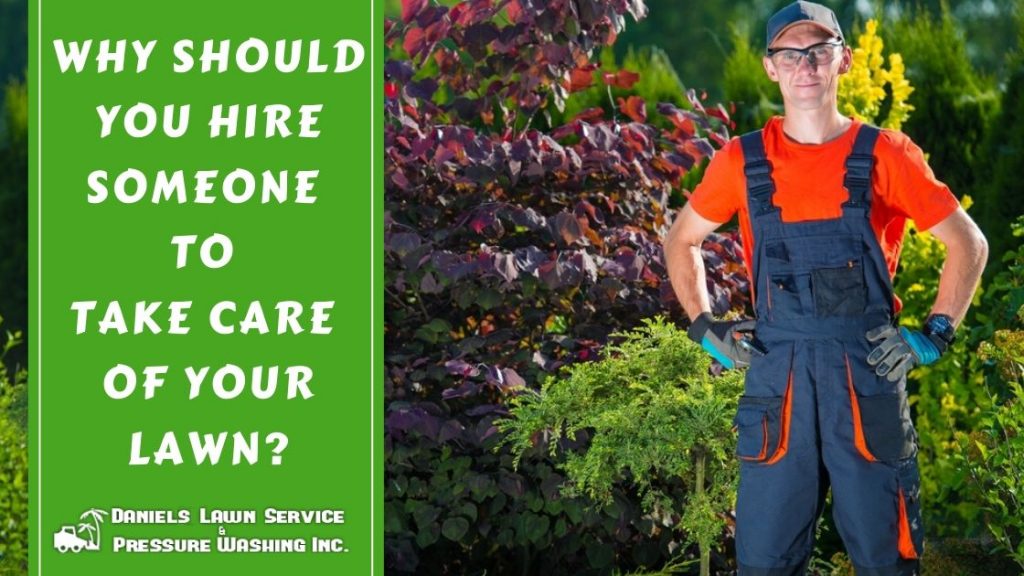 Why Should You Hire Someone to Take Care of Your Lawn?
