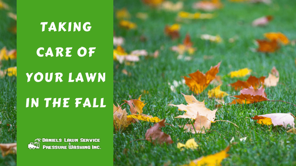 Taking Care of Your Lawn in the Fall