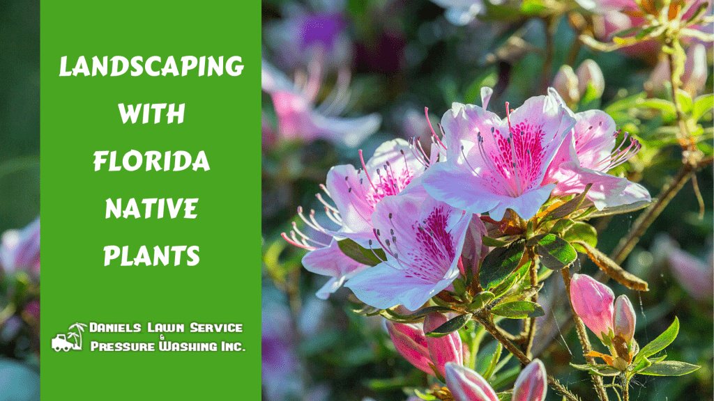 Landscaping with Florida Native Plants