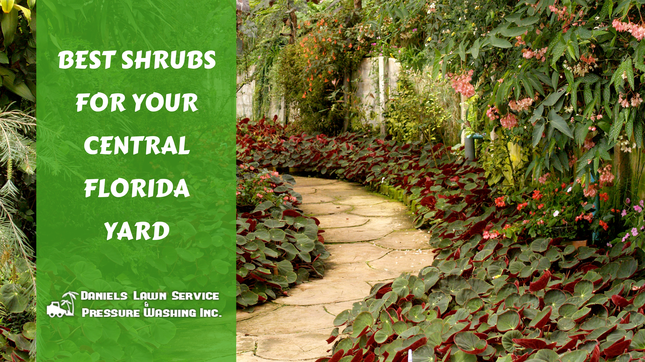 Central Florida Yard, Best Central Florida Landscape Plants