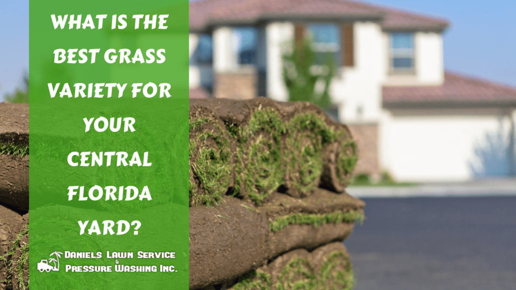 What is the Best Grass Variety for Your Central Florida Yard?