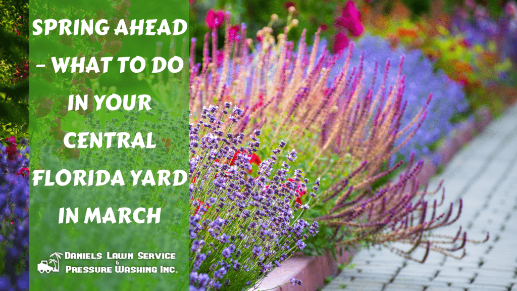 Spring Ahead – What to Do in Your Central Florida Yard in March