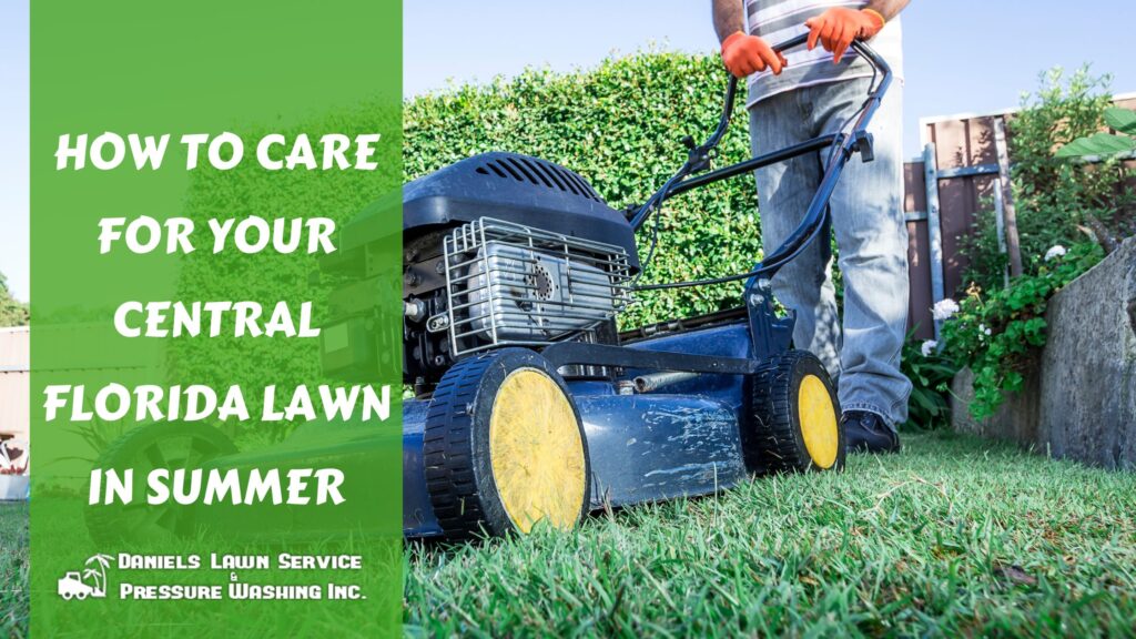 How to Care for Your Central Florida Lawn in Summer