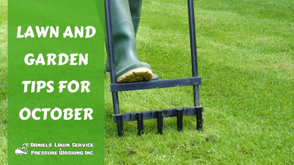 Lawn and Garden Tips for October