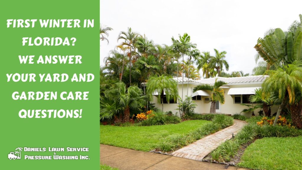 First Winter in Florida? We Answer Your Yard and Garden Care Questions!