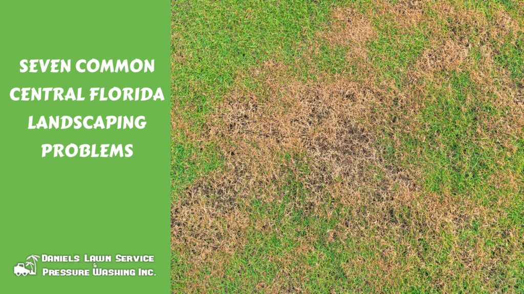 Seven Common Central Florida Landscaping Problems