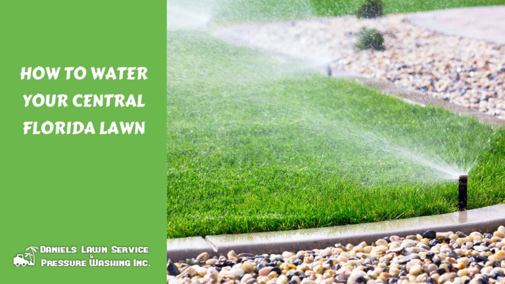 How to Water Your Central Florida Lawn
